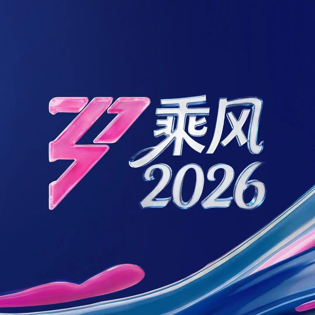 乘风2026——电视剧人生在线观看