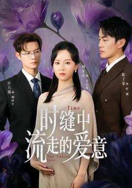 时缝中流走的爱意——情圣终结者下载