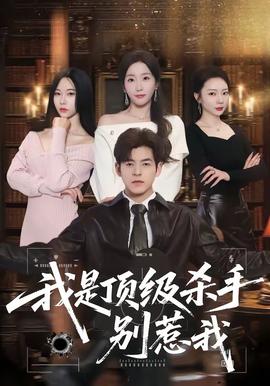 我是顶级杀手，别惹我——妈妈的朋有4线观高清