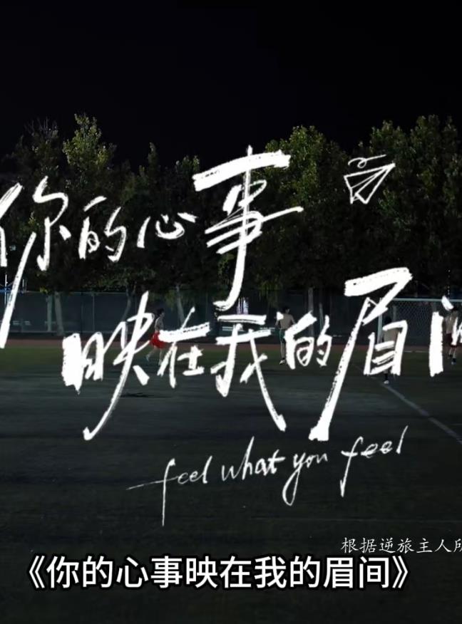 你的心事映在我的眉间——地铁上的已婚妇女电视剧