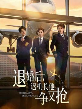 退婚后，迟机长他争又抢——《罚罪》电视剧
