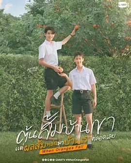 当橘子掉落时——六姊妹电视连续剧全集